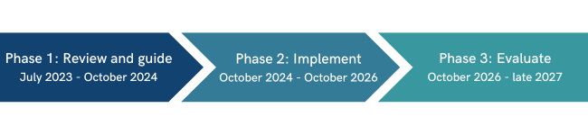 Simple graphic showing the three phases of the review. This information is in the text which follows this image.