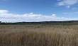 Rural landscape at Lockyer Valley