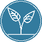 Leaves of a plant breaking the soil to indicate life and health